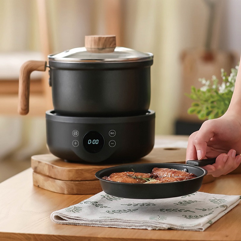 110V/220V Multi-function Elect - Camping Cooking Rice 评论和价格