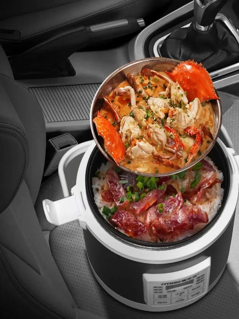 ARIER 12-24V 220V Rice Cooker  - Camping Cooking Cup 评论和价格